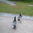 Helsinki Finland 