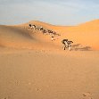 Desert camel ride to the Terjit Oasis Mauritania Holiday Sharing