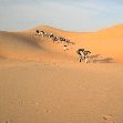 Desert camel ride to the Terjit Oasis Mauritania Holiday Sharing