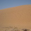 Desert camel ride to the Terjit Oasis Mauritania Vacation Picture