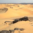 Desert camel ride to the Terjit Oasis Mauritania Diary Pictures
