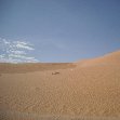 Desert camel ride to the Terjit Oasis Mauritania Travel Picture