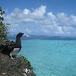 Wallis and Futuna islands Mata-utu Review Photo