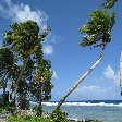   Funafuti Tuvalu Travel Blogs