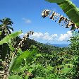 Le Moroni Hotel Comoros Photography