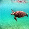 Wildlife pictures Mayotte Island Mamoudzou Trip Picture