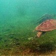 Wildlife pictures Mayotte Island Mamoudzou Vacation Experience