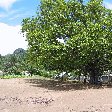 Wildlife pictures Mayotte Island Mamoudzou Travel Gallery
