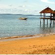 Wildlife pictures Mayotte Island Mamoudzou Blog Adventure