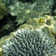 Wildlife pictures Mayotte Island Mamoudzou Vacation Tips