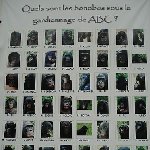 Lola Ya Bonobo sanctuary near Kinshasa Democratic Republic of the Congo Album Photos