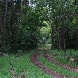 Outamba-kilimi national park Kamakwie Sierra Leone Photos