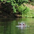 Outamba-kilimi national park Kamakwie Sierra Leone Travel Sharing