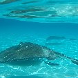   George Town Cayman Islands Travel Package