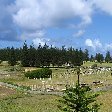   Kingston Norfolk Island Blog Pictures