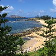 Norfolk Island pine tree tours Kingston Trip Photo