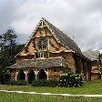 Norfolk Island pine tree tours Kingston Trip Experience