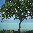 Bairiki Kiribati 