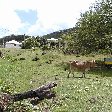   Basse Terre Guadeloupe Trip Sharing