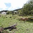 Guadeloupe Island Pictures Basse Terre Trip Sharing