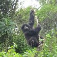 Rwanda Volcanoes National Park Ruhengeri Diary