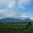 Rwanda Volcanoes National Park Ruhengeri Blog Pictures