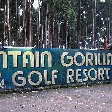 Rwanda Volcanoes National Park Ruhengeri Vacation Experience