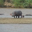 Rusizi National Park Bujumbura Burundi Adventure Rusizi National Park