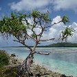 Federated States of Micronesia pictures Pohnpei Pictures