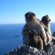 Rock of Gibraltar monkeys Trip Photo
