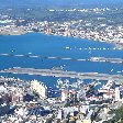 Rock of Gibraltar monkeys Travel Sharing