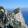 Rock of Gibraltar monkeys Travel Photographs
