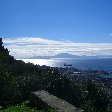 Rock of Gibraltar monkeys Diary Photos