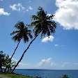 Fort de France Martinique Fort-de-France Diary Sharing
