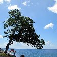 Fort de France Martinique Fort-de-France Trip Photos