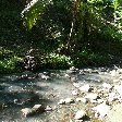 Saint Lucia island pictures Castries Photograph
