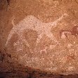 Ennedi Desert Safari in Chad Trip Photos