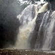 Dzangha-Sangha National Park and Boali Bangui Central African Republic Experience Dzangha-Sangha National Park and Boali