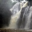 Dzangha-Sangha National Park and Boali Bangui Central African Republic Experience