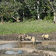 Dzangha-Sangha National Park and Boali Bangui Central African Republic Photograph