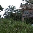 Pictures of Odzala National Park Ewo Republic of the Congo Review Sharing