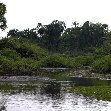 Pictures of Odzala National Park Ewo Republic of the Congo Review Gallery