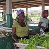 The capitals of Cote d'Ivoire Abidjan Holiday Photos