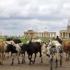 The capitals of Cote d'Ivoire Abidjan Trip Pictures