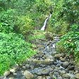 Grenada Island pictures St Georges Review Photograph