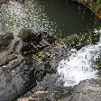 Grenada Island pictures St Georges Holiday