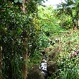 Grenada Island pictures St Georges Vacation