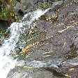Grenada Island pictures St Georges Vacation Information