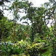 Grenada Island pictures St Georges Review Sharing