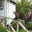Grenada Island pictures St Georges Vacation Picture